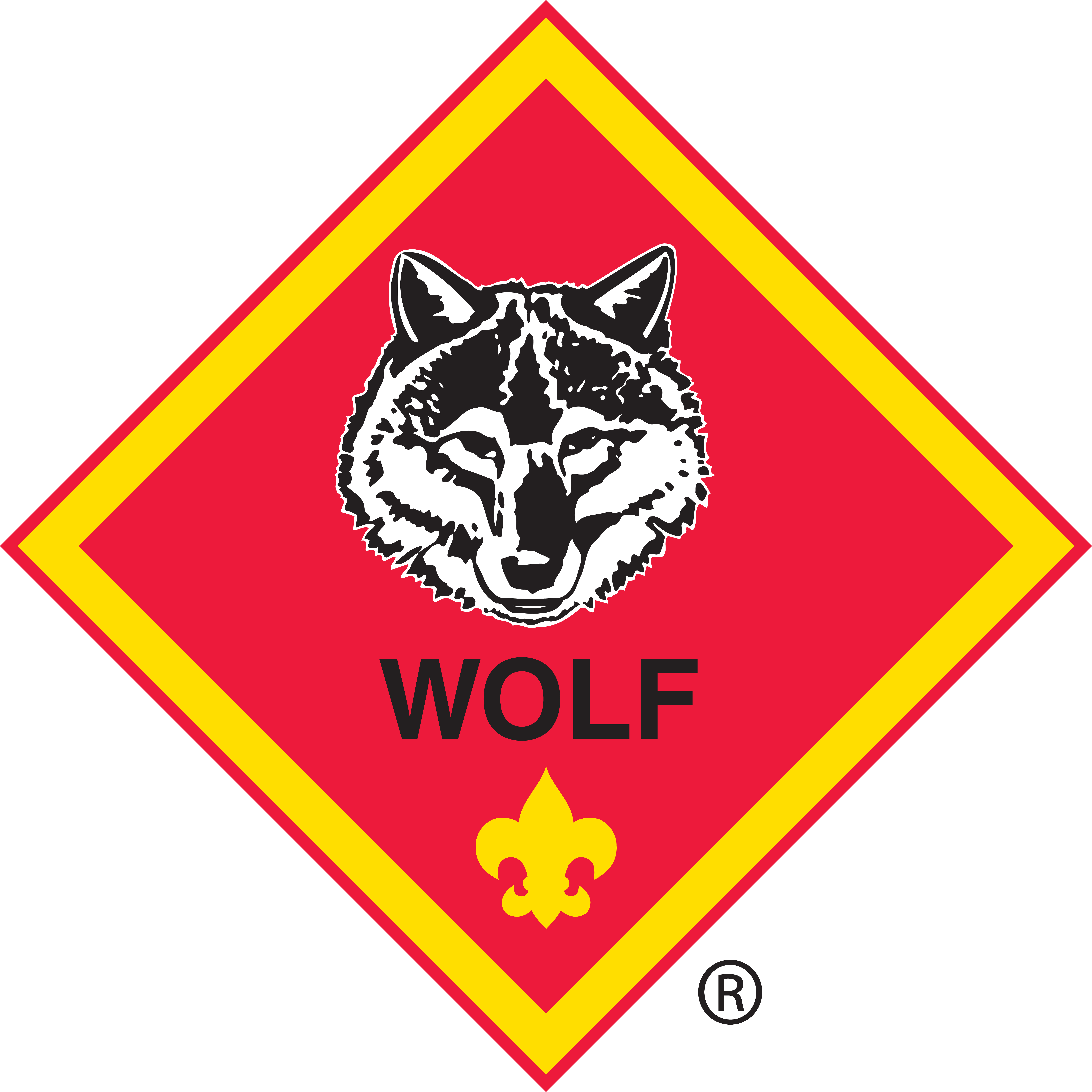 wolf